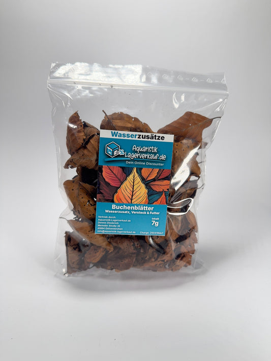 Buchenblätter 7g